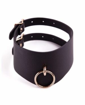 Signature Posture Collar